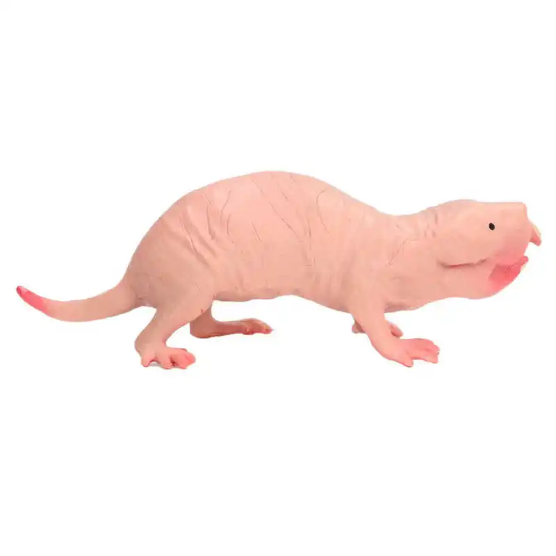 Plastic Mole Figurine Toy Simulation Static Full Core Naked Mole Model for Kids Sand Table Ornaments 4