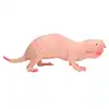 Plastic Mole Figurine Toy Simulation Static Full Core Naked Mole Model for Kids Sand Table Ornaments 4