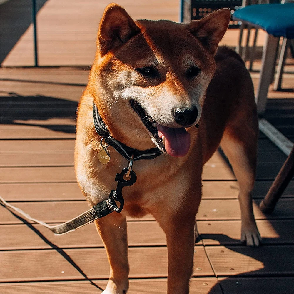 Slide image f895de7af27a410fa1c9d90ff7511a35