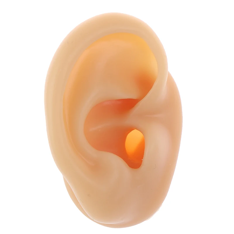 Soft Silicone Ear Model Tattoo Jewelry Practice Piercing Tools Earrings Stud Display Model Body Medical Teaching Props Reuseable 5