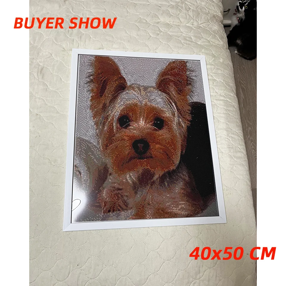 MomoArt Full Square Diamond Painting Dog Animal Art Diamond Mosaic Yorkshire Embroidery Picture Of Rhinestones Home Decor