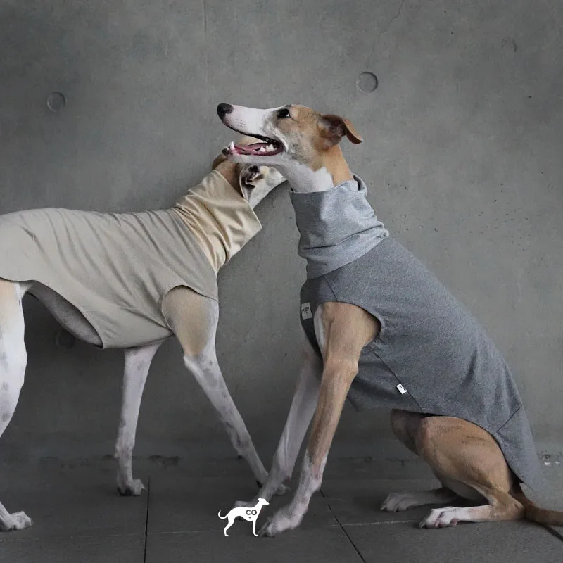 Lightweight Dog Tshirt Whibit Greyhound Clothes Small And Medium Dog