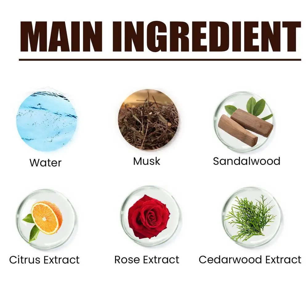 Olio profumato concentrato al cioccolato e muschio 6 ml Seduzione a lunga durata Fragranza leggera Elegante fragranza W_voghion.com