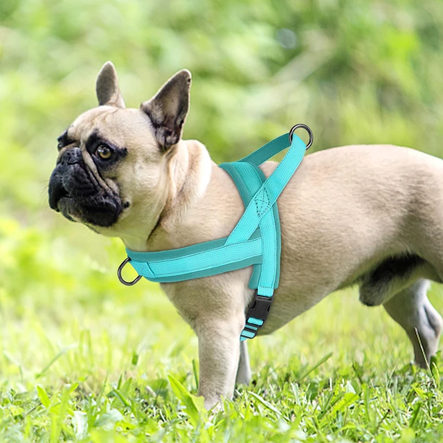 Soft Padded Nylon Dog Harness No Pull Dog Harnesses Vest Adjustable Pet Puppy Pug Harness Durable Vest For Small Medium Dogs 5