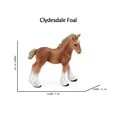 Clydesdale 2