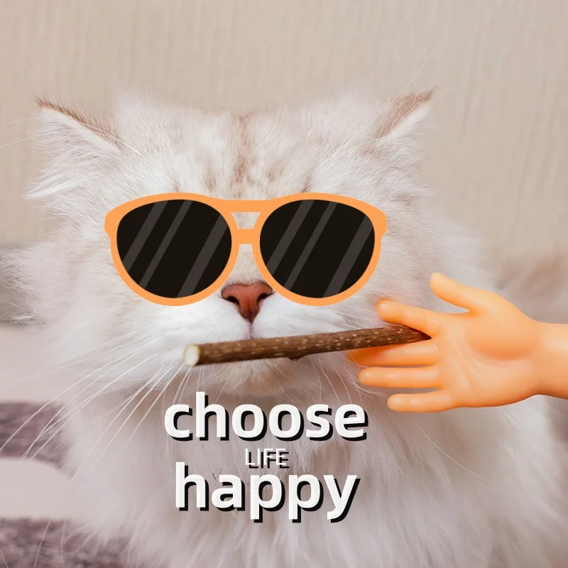 Catnip Cigar Mint Stick Silvervine Interactive Chews Toys All Natural Catnip Sticks 7-10pcs Molar Sticks Teeth Cleaning