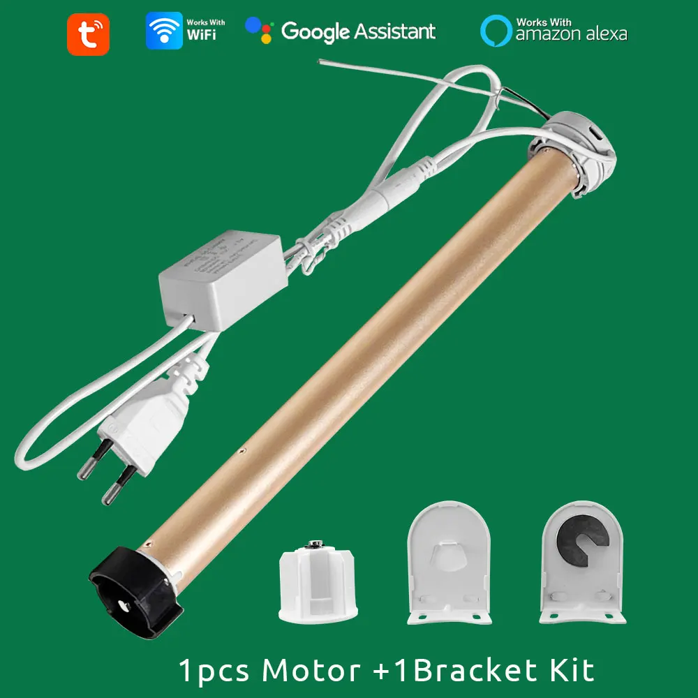 1 Motor and Bracket