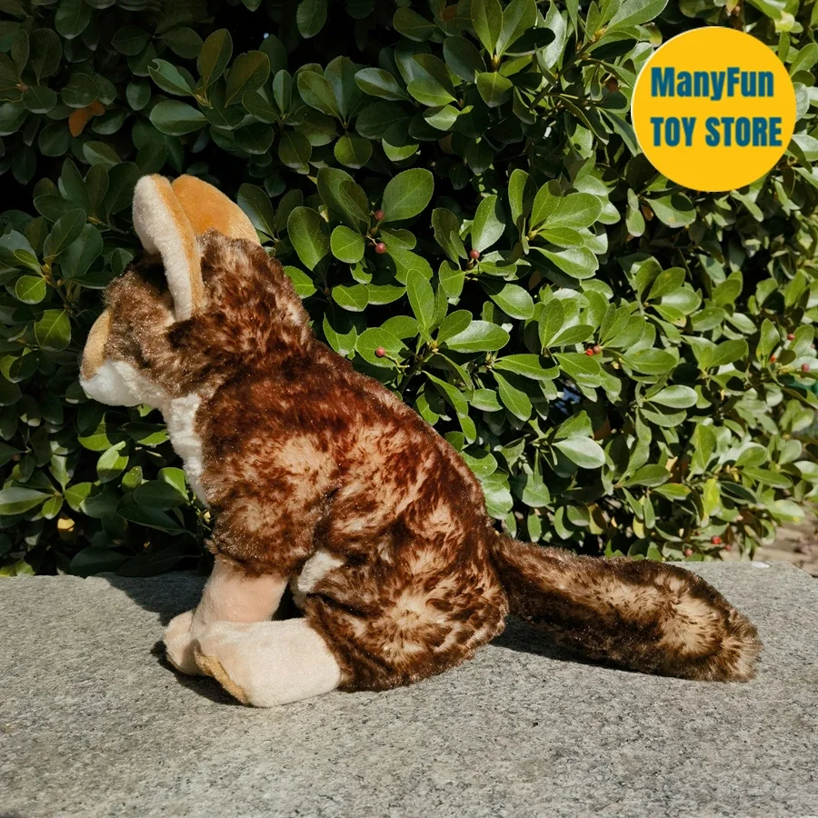Realistic Coyote High Fidelity Brown Wolf Plushie Dog Plush Toys Lifelike Animals Simulation Stuffed Doll Kawai Toy Gifts Kids 4