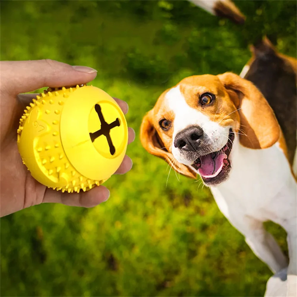 

Pet Dog Toy Ball Molar Teeth Bite-Resistant Dog Bouncing Ball Teddy Samoy Small and Medium-Sized Dog Rubber Training Ball