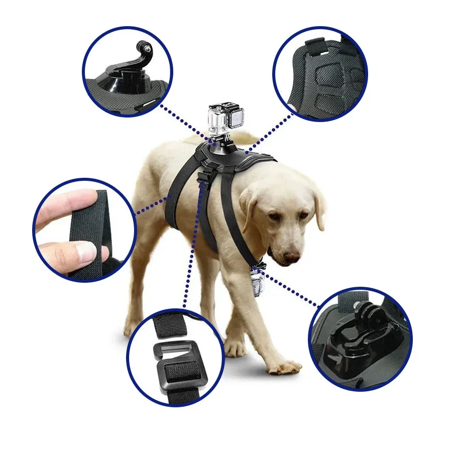 Gopro Fetch Dog Harness Gopro Dog Cam Gopro Dog Harness Video Pet