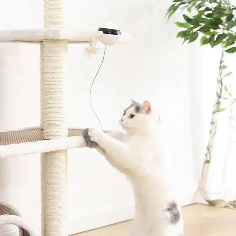 Automatic Lifting Cat Toy Ball Smart Electric Training Toys 2