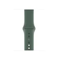 18.Pine Green