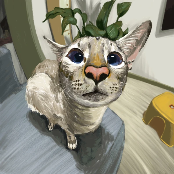 Furry Friends Boutique Store