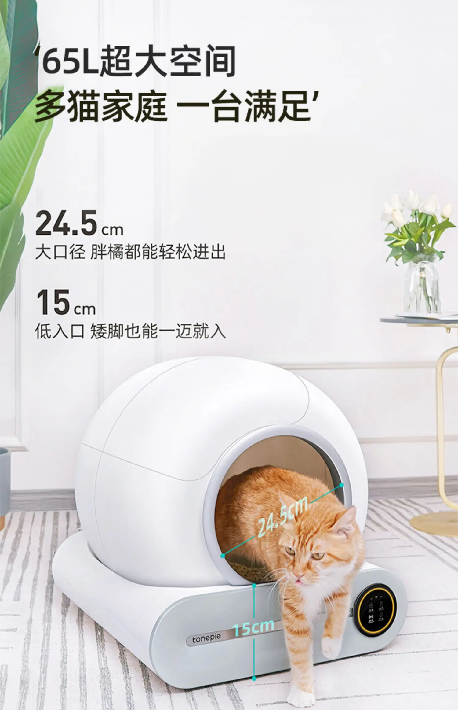 Sd4ba221824c746caad2fcd9974c4698ck.jpg?width=1500&height=2322&hash=3822