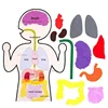 Montessori Body Parts Set Felt Board Stories Teaching Book for Toddlers Sensory Toy Preschool Teaching Story Travel Board 2