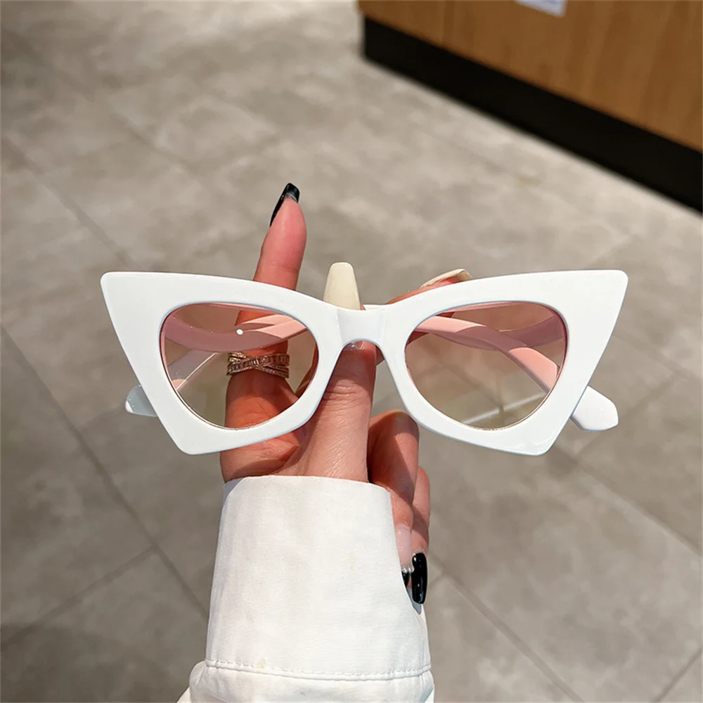 New Oversized Butterfly Shape Cat Eye Full Frame Sunglasses Colorful Vintage Personalized Trendy Female Eyewear Popular Shades