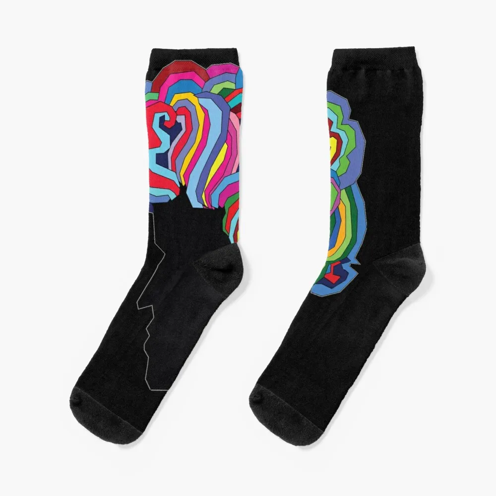 

Bob Dylan Rainbow 2 Sticker Socks Funny Socks Men