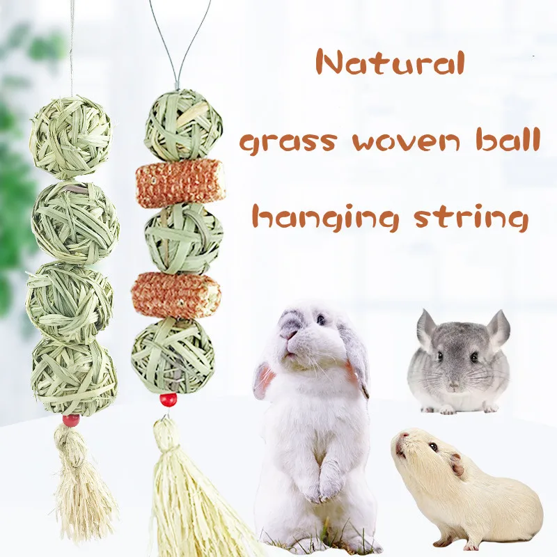 Small Animals Chew Toys Hanging Chew Balls Bunny Rabbit Chinchilla Guinea Pig