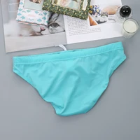 Slip Sexy pour hommes, maillot de bain, vêtements de plage, taille basse, sous-vêtements, maillot de bain, séchage rapide 3