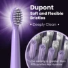 SEJOY Oral Cleaning Sonic Electric Toothbrush Personal Care Appliances IPX7 3 Modes Smart Rechargeable Automatic Toothbrush 3