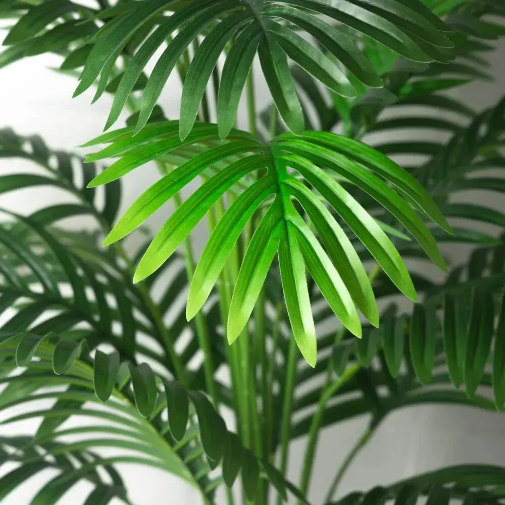 Slide image c438b20d335b469db7f277935d28566d