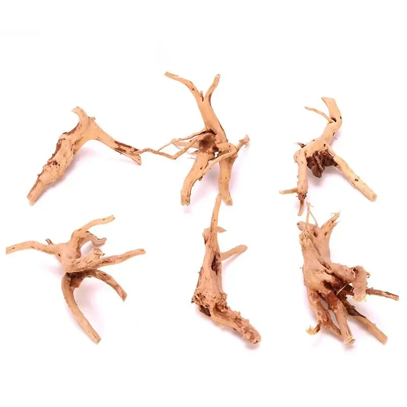 5-10cm(3PCs)