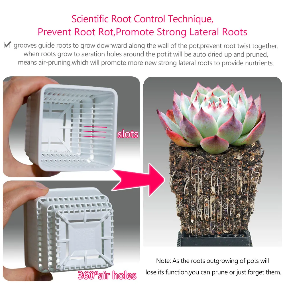 Meshpot Succulent Pot with Holes Cactus Lithop Pot Root Control Succulent Planter 10pack 20Pack