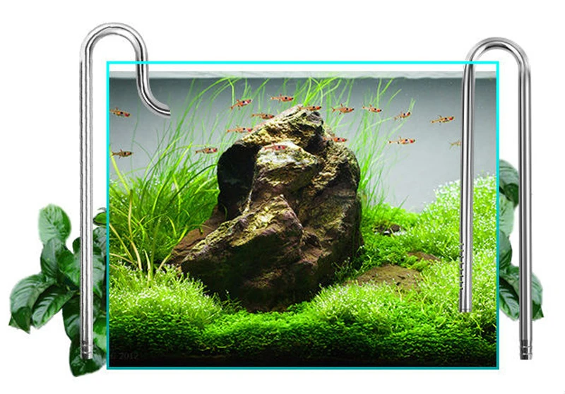 nicht Heerlijk Per ongeluk Aquarium Aquarium Benodigdheden 316 Roestvrijstalen Lelie Pijp Filter  Instroom Uitstroom Vis Water Plant Tank Landschap Accessoires| | -  AliExpress