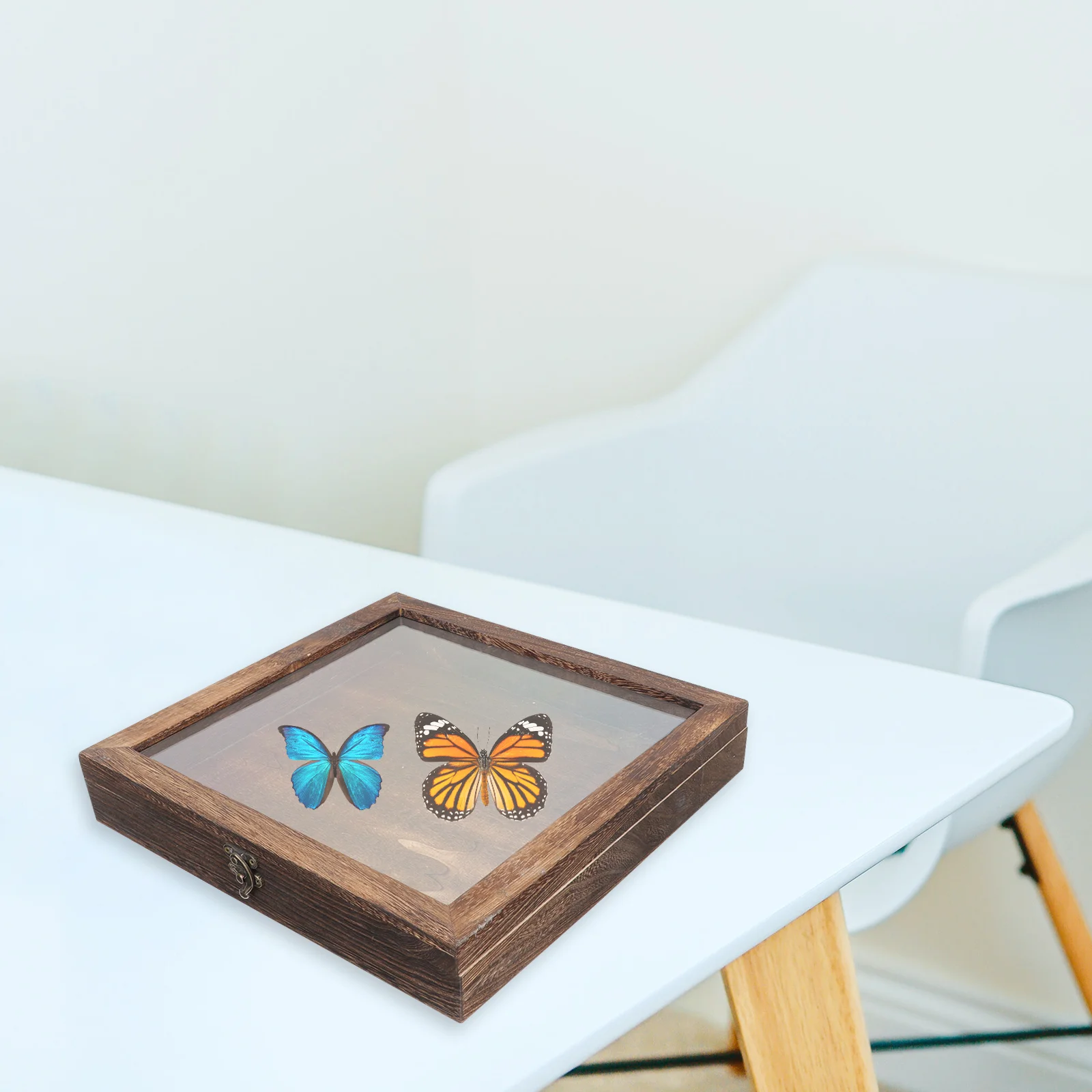 

Insect Display Case Shadow Box Frame Wood Display Case for Photos Flowers Bugs