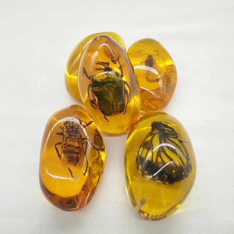 Natural Insect Amber Specimens Crafts Children Science Education Cognitive Toys Amber Bugs Scorpions Ladybirds Insect Specimens