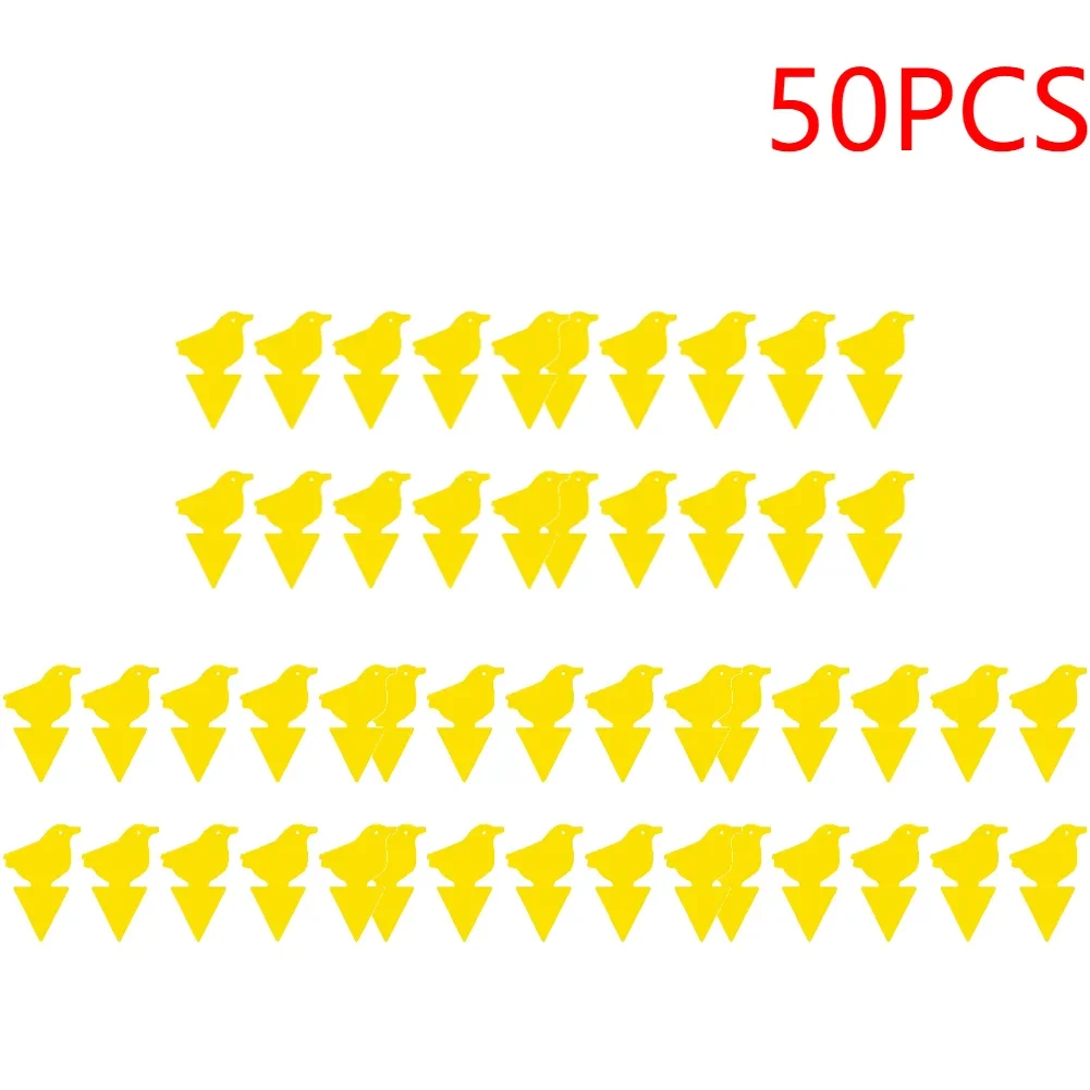 Birds-50pcs