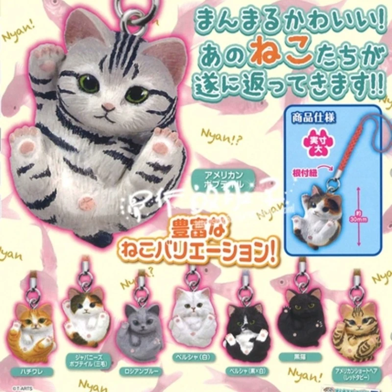 

T-ART Capsule Toy Gachapon Cute Animal Cats Dolls Pendants Netsuke Keychains Collection Gift