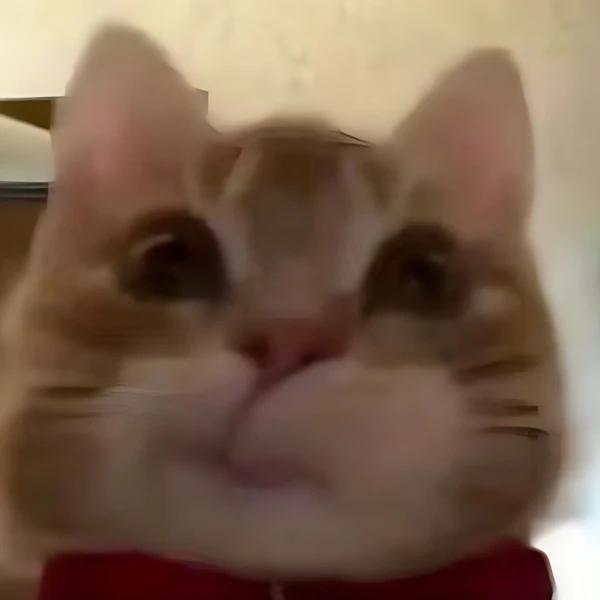 Meowow Home Store