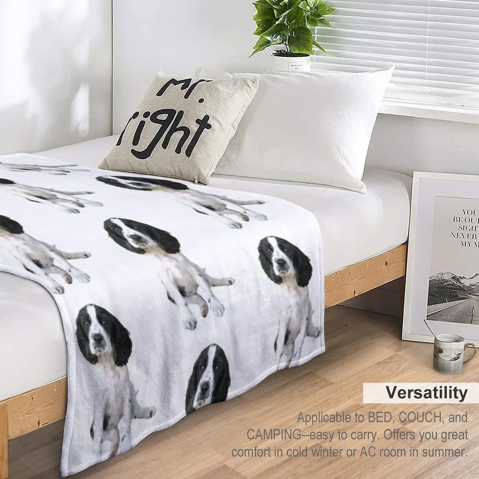 ������Ŀ ���дϾ� ���ο� ���, ����� �ʴ��� ���ο� ����,  ���