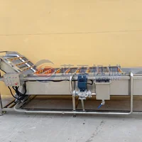 Automatic Ultrasonic Cabbage Food Wild Fruit Vegetable Air Bubble Washing Machine Blueberry Clean Potato Washer Machine 2