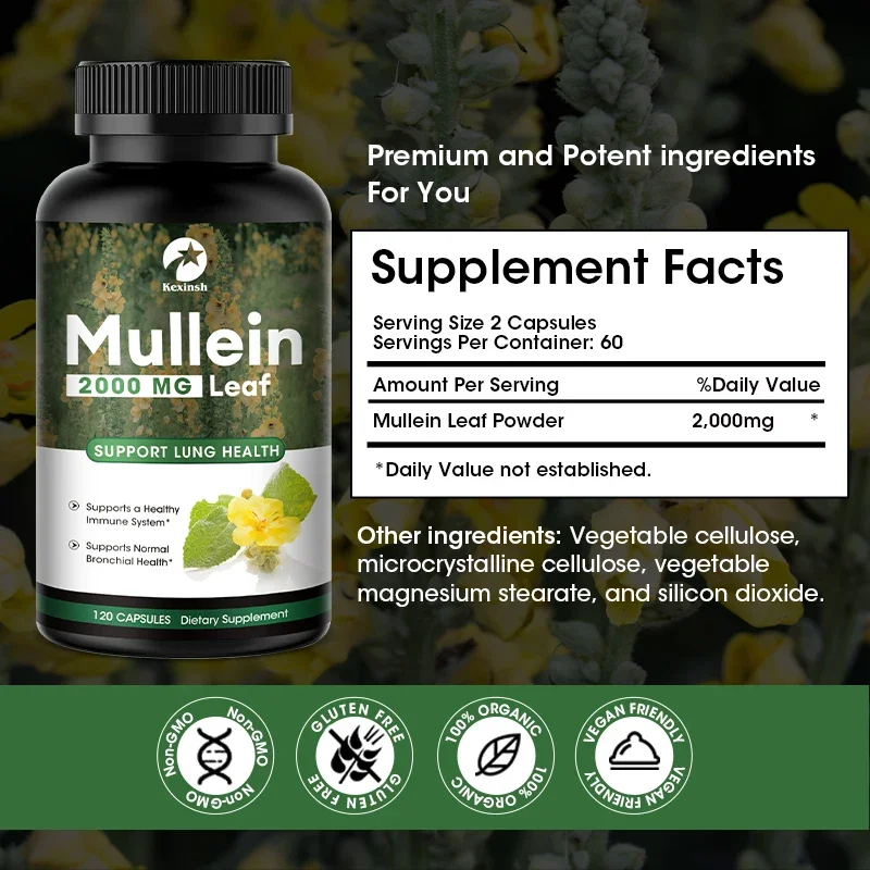 Mullein Leaf Capsules Supports Healthy Respiratory Natural Lung Cleansing Liver Detoxification