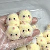 1PC Miniature Slow Rebound Relief Squeeze Toy Sticky TPR Squishy Mini Chick Stress Relief Squishy New Fidget Prop 3