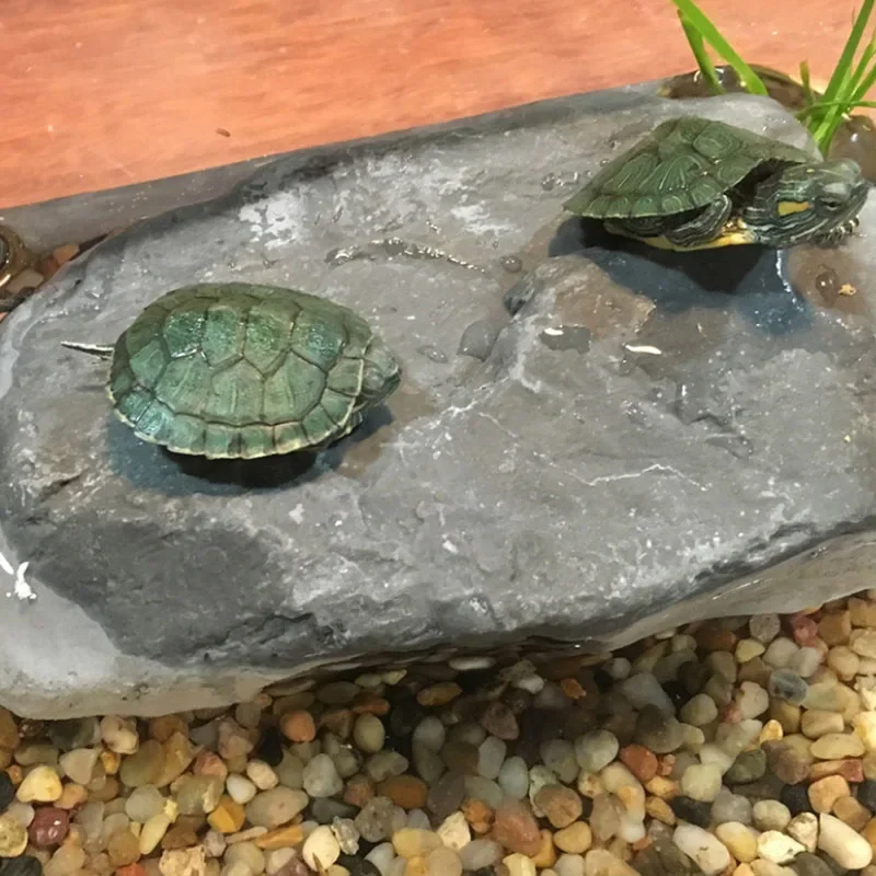 Terrarium Turtle Accessories 5