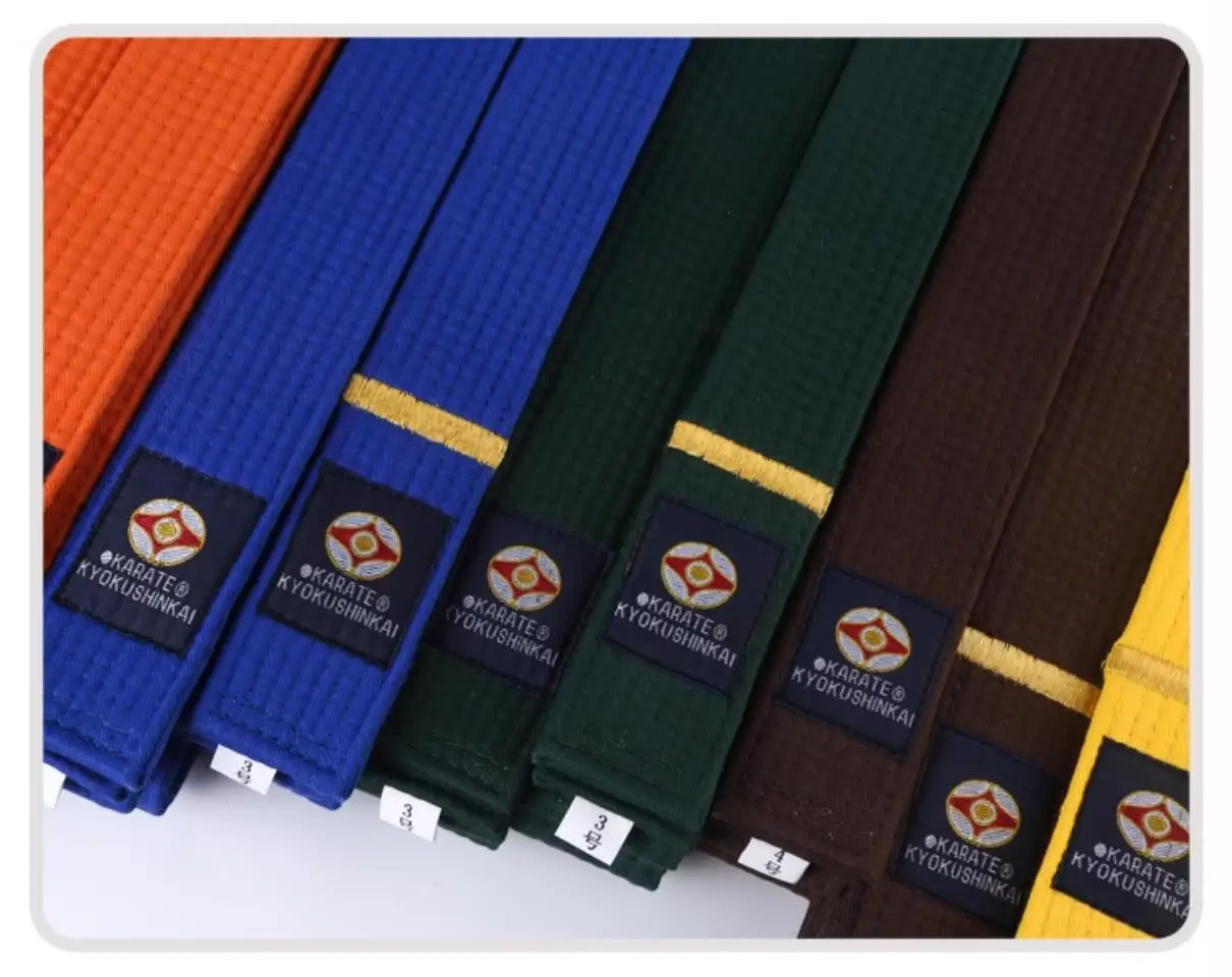 Different colors of karate belt sold on 100 Spartans