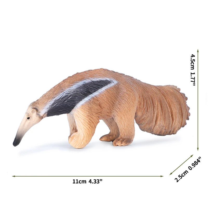 Anteater