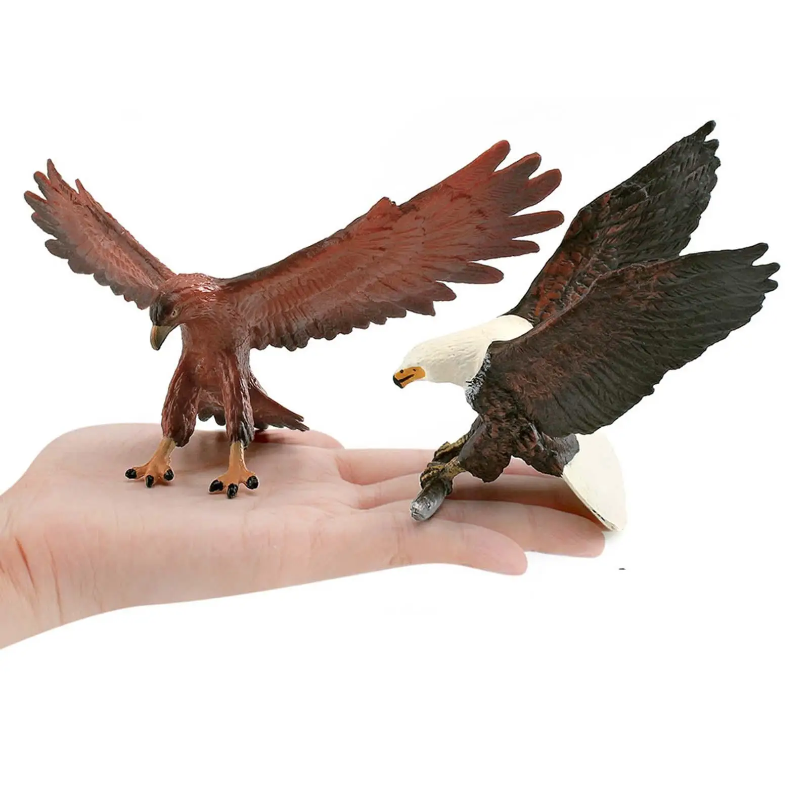

Bird Model Models Toy Simulation Animal Figurines Ornament for Desk Room