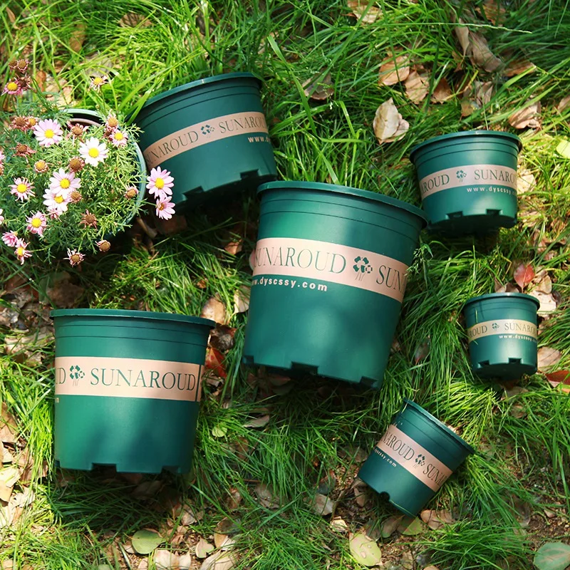 Decorative Artificial Succulent Collection in Stylish Plastic Flower Pots