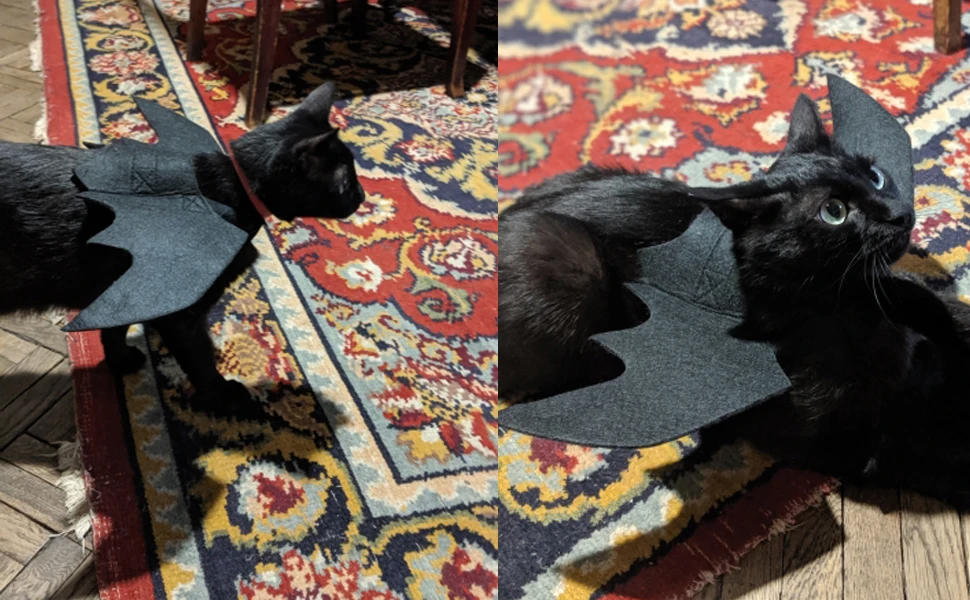 cat Halloween Costumes