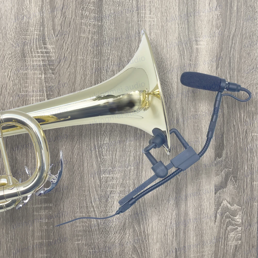 Professional Musical Instrument Condenser Gooseneck Microphone System For Guitar Saxophone Violin Piano Cello Bass Clarinet