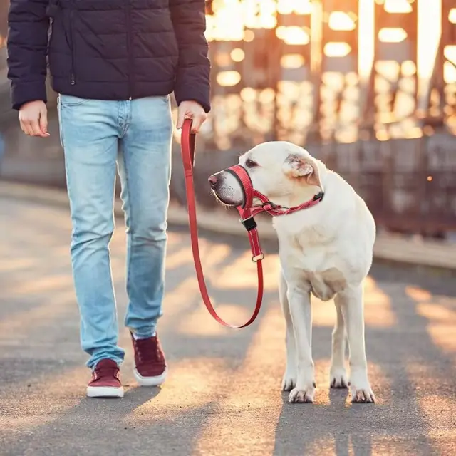Nylon Anti-Bite Dog Muzzle 4