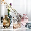 Transparent Glass Flower Vases for Homes, Dry Flower, Gradient Vase, Desktop, Living Room Decoration Accessories, Nordic Home 2