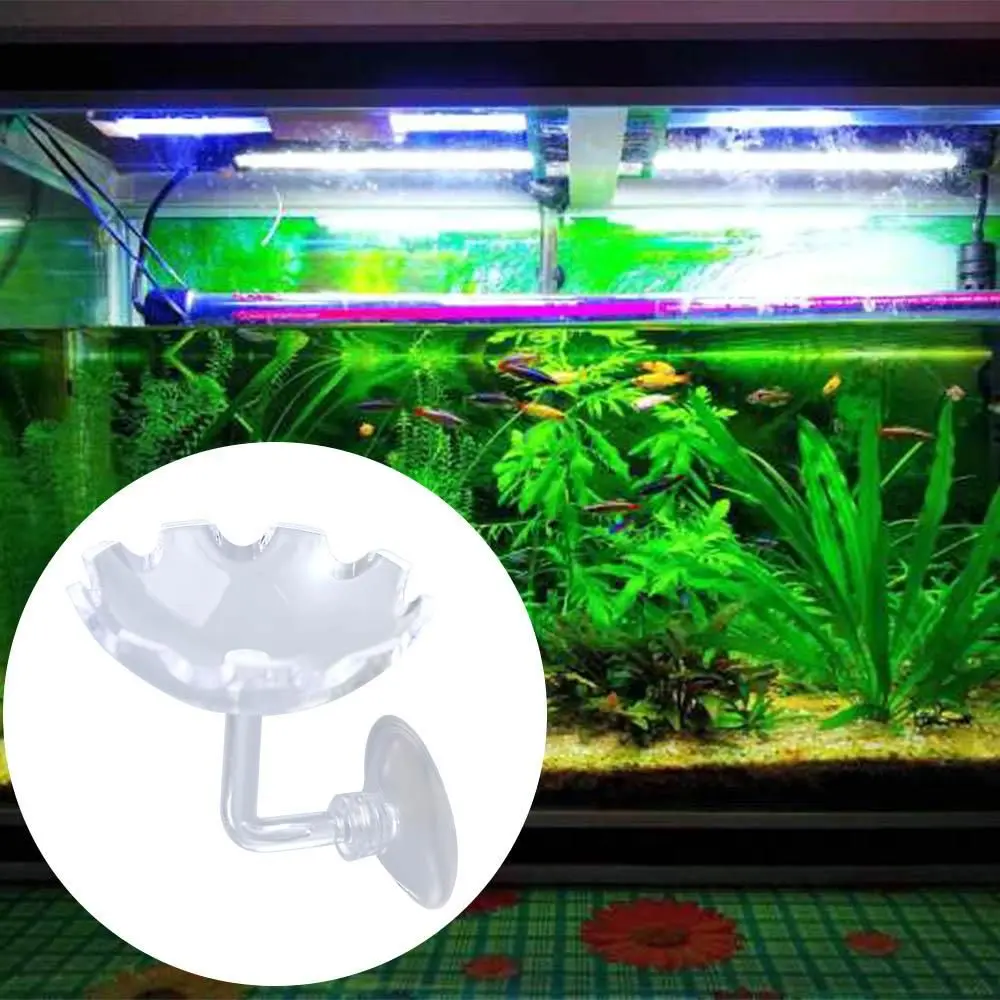 

Acrylic Durable Shrimp Bowl Dish Food Tray Feeding Tube Fish Feeder Aquarium Accessory Fish Tank Supplies Shrimp Food Feeder