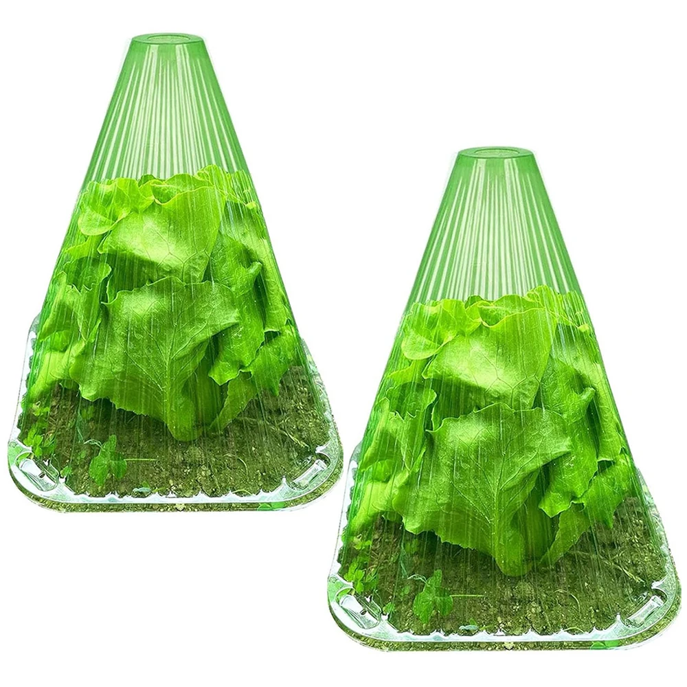 Growth Box Planting Tent Reusable Square Use Plant Clock Cover To Protect Plants From Bird Frost and Snail Damage Green 5Pcs planting tent