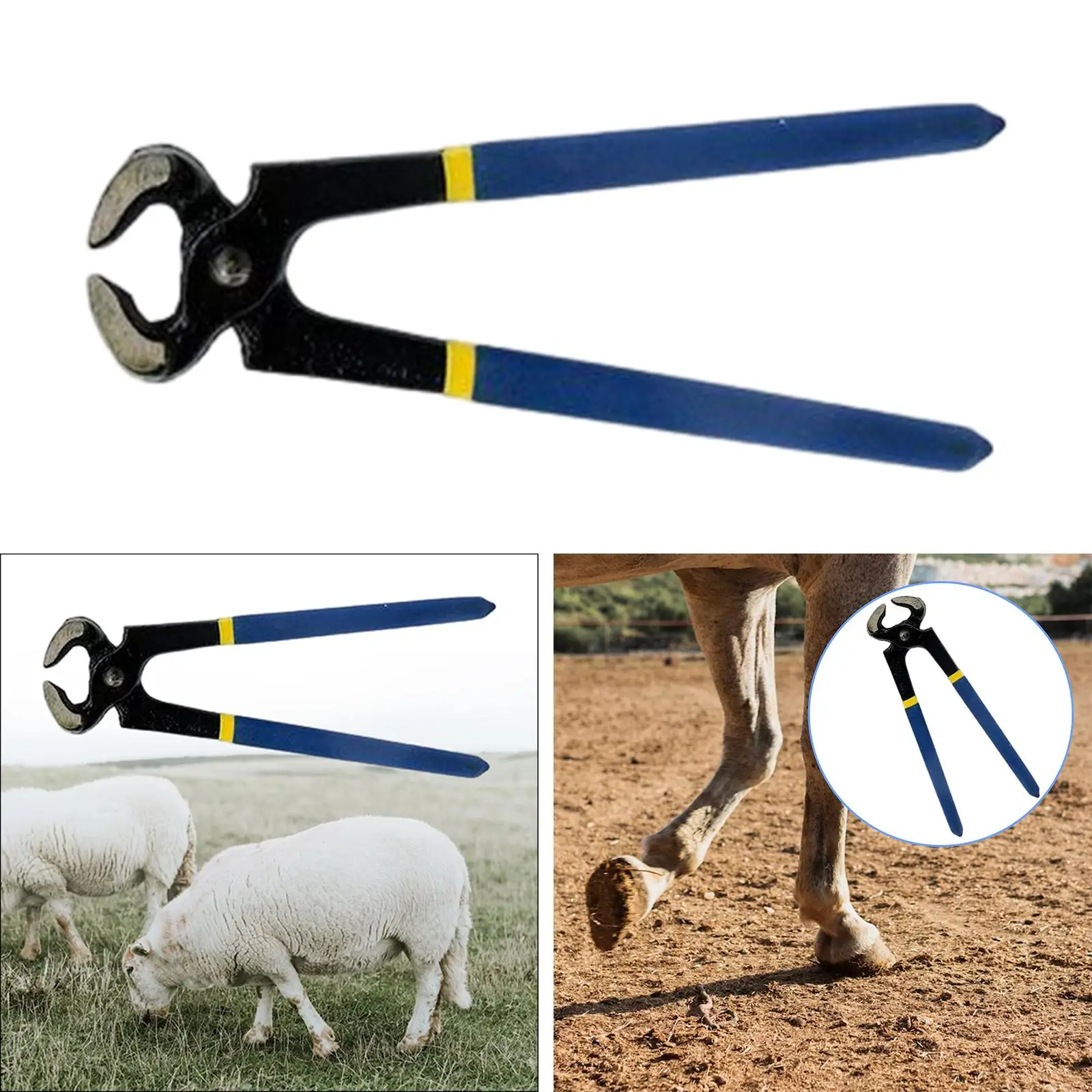 Horse Hoof Trimmer Professional Nail Clippers Hoof Repair Tools Durable Easy to