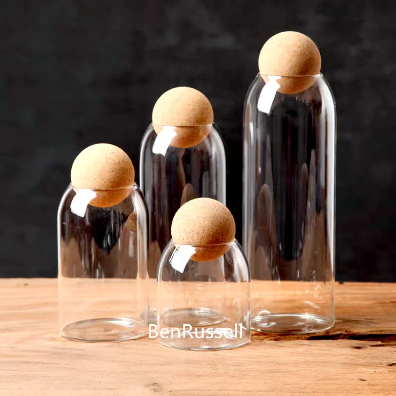 Multipurpose Micro Landscape Glass Bottles Storage With Cork Lid Moss Bottle Glass Vase Seashells Storage Glass Terrarium 3